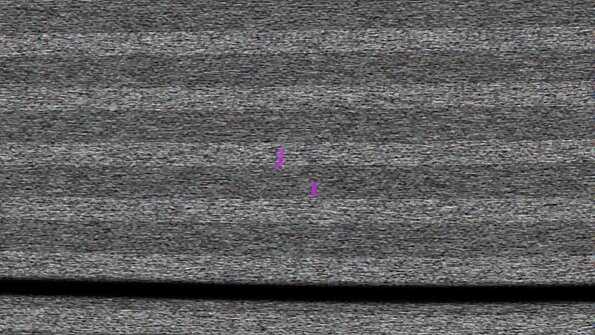 Tamsiaplaukė mažylė per ploną viršutinę dalį demonstruoja gražią pūlingą solo vaizdo įraše
